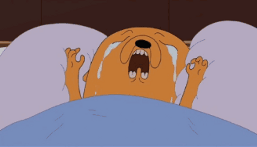 Sleeping Jake The Dog Crying GIF