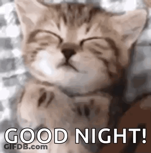 Sleeping Kitten Saying Good Night GIF