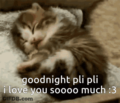 Sleeping Kitten With Goodnight Pli Pli I Love You GIF