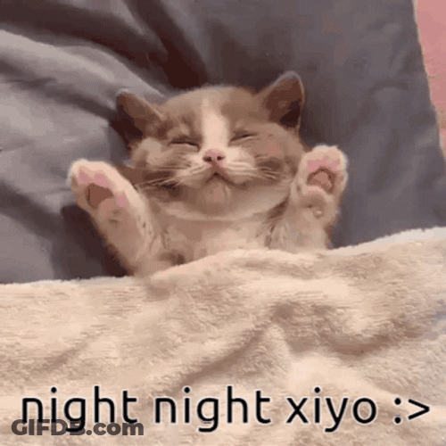 Sleeping Kitty Nighty Night GIF