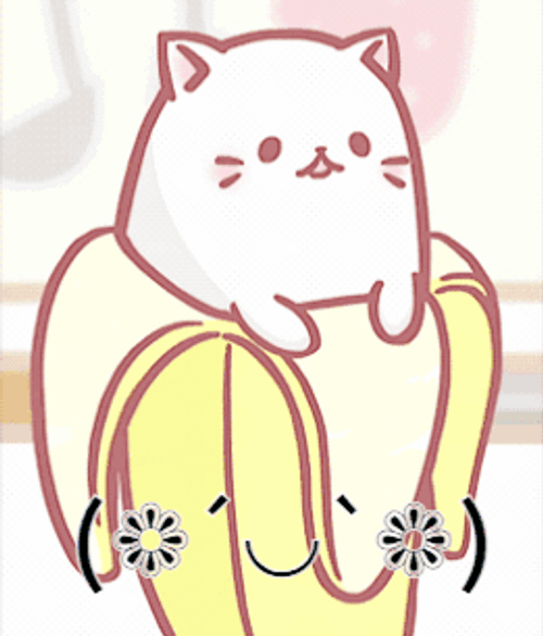 Sleeping On Peeled Banana Cat Meme GIF