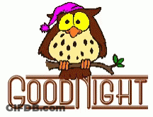 Sleeping Owl Saying Goodnight GIF