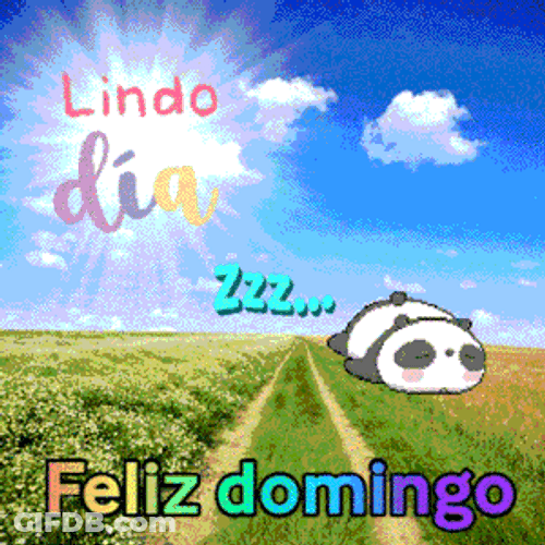 Sleeping Panda Feliz Domingo Digital Art GIF