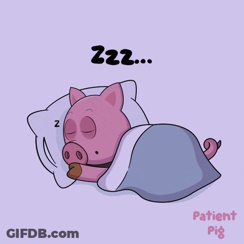 Sleeping Pig In Bed Saying Zzz Patient Pig GIF