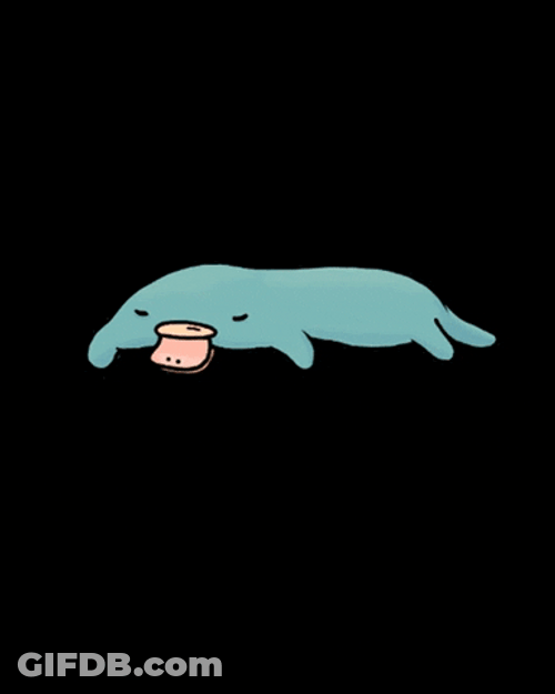 Sleeping Platypus Animation GIF