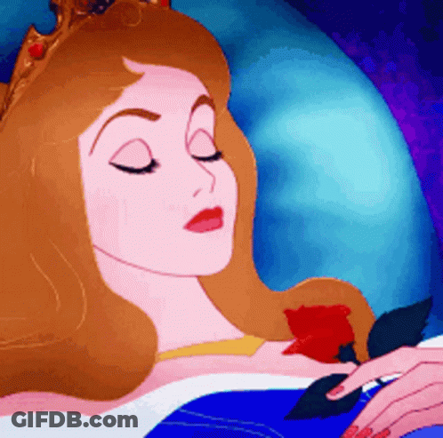 Sleeping Princess With Rose On Chest GIF