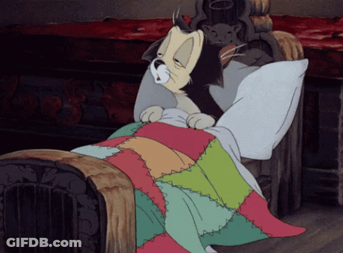 Sleepy Cat Just Waking Up GIF