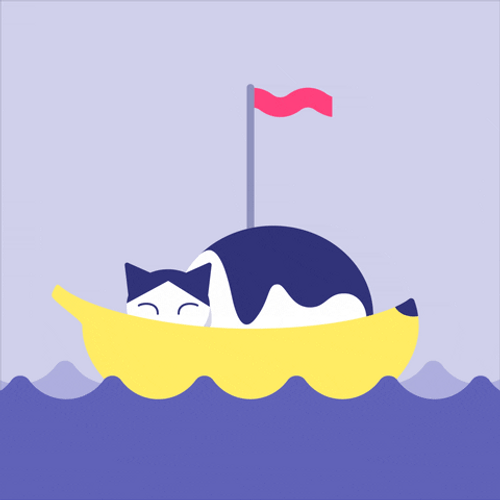 Sleepy Cat Sailing GIF