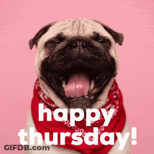 Sleepy Dog Happy Thursday Morning GIF