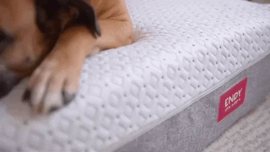 Sleepy Dog On Bed GIF
