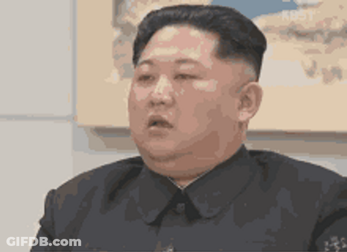 Sleepy Eyes Kim Jong Un GIF