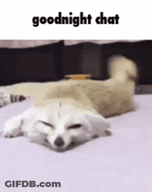 Sleepy Fennec Fox Goodnight Chat GIF