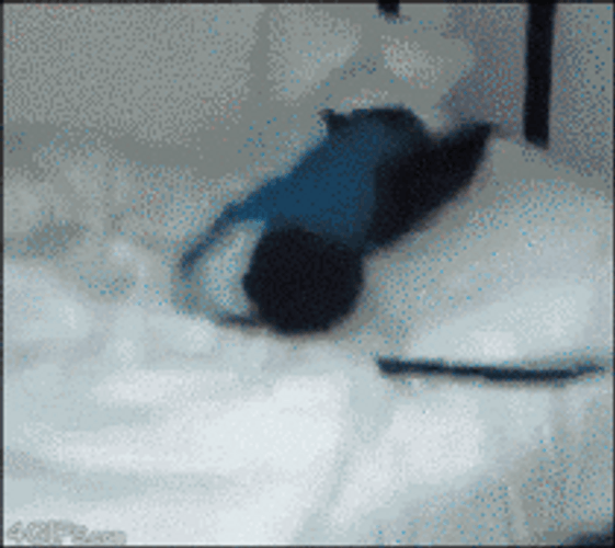 Sleepy Good Morning Chimpanzee GIF
