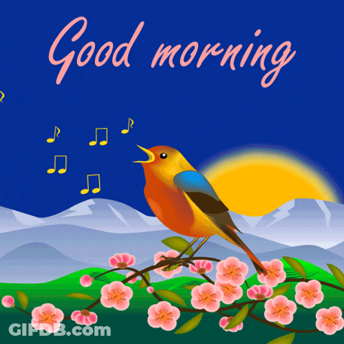 Sleepy Good Morning Singing Songbird GIF