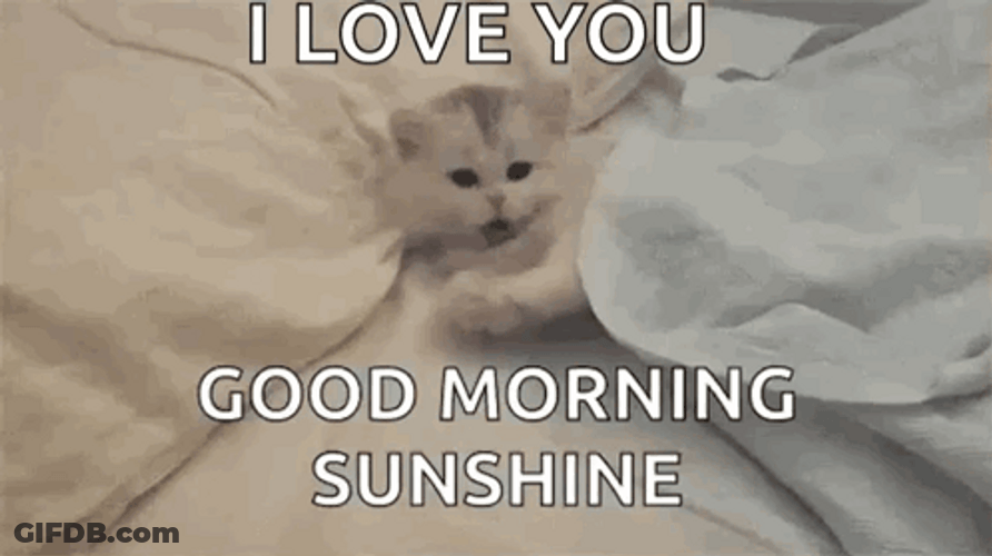 Sleepy Good Morning Sunshine GIF