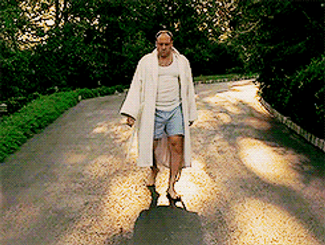 Sleepy Good Morning Tony Soprano GIF