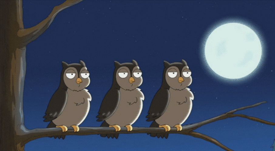Sleepy Owl Song GIF