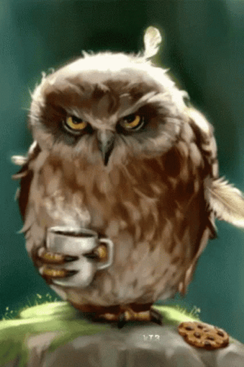 Sleepy Owl With Coffee GIF