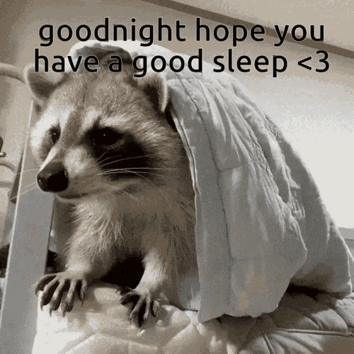 Sleepy Raccoon In Bed Have A Great Night GIF