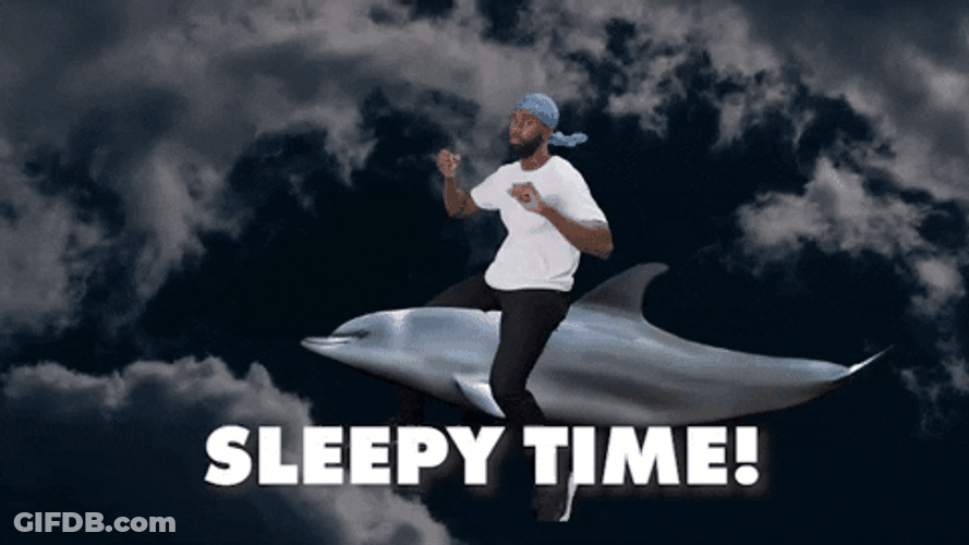 Sleepy Time In My Dreams Riding Dolphin GIF
