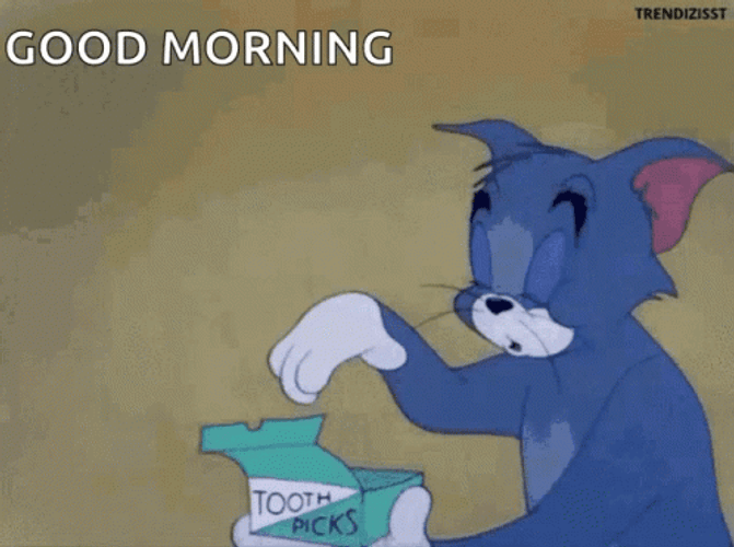 Sleepy Tom Cat Good Morning Meme GIF
