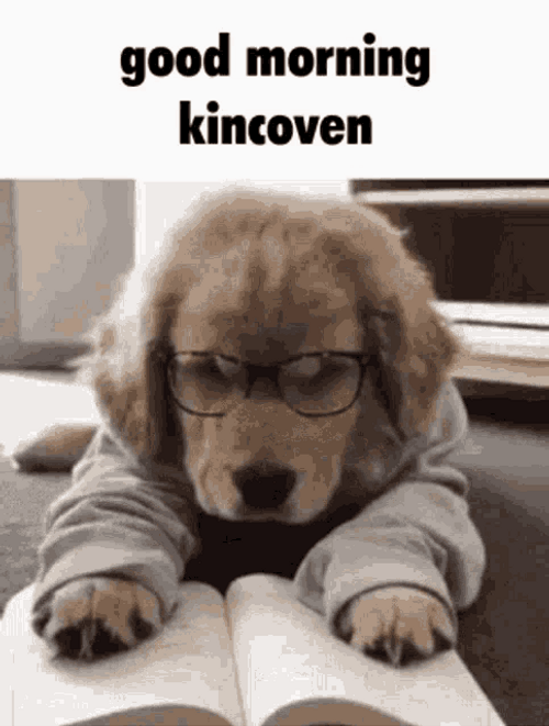Sleepyhead Student Dog Good Morning Puppy GIF