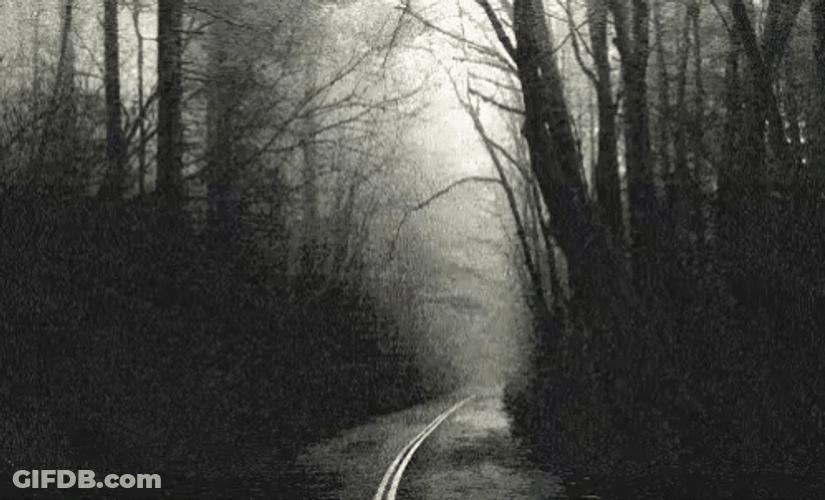 Slenderman In The Dark Forest GIF