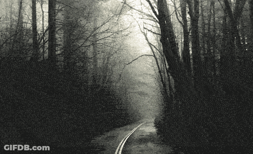 Slenderman Waiting In The Forest GIF