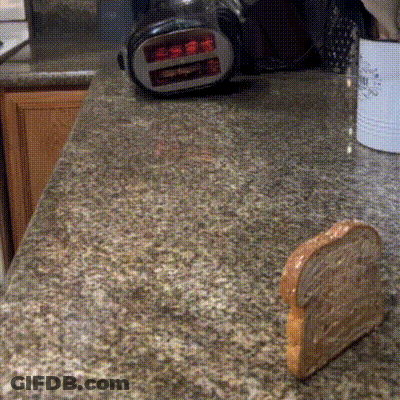 Slice Of Bread Next To Toaster GIF