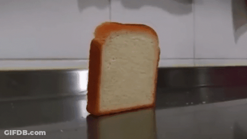 Slice Of Bread On Stainless Steel Counter GIF