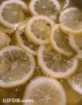 Sliced Lemons In Pot Of Liquid GIF