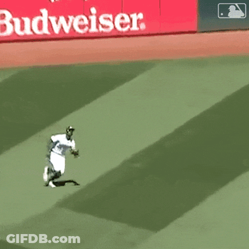 Slide Catch Major League Baseball GIF