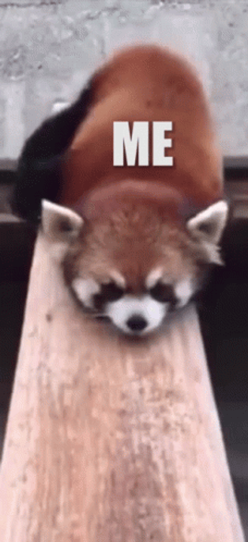 Sliding Red Panda GIF