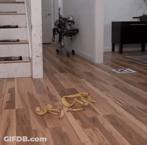 Slip Boston Dynamics Banana GIF