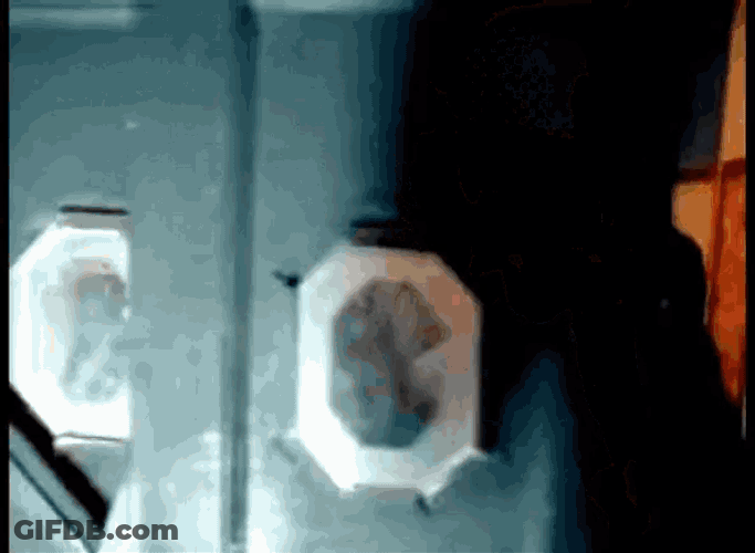 Slipknot Numetal GIF