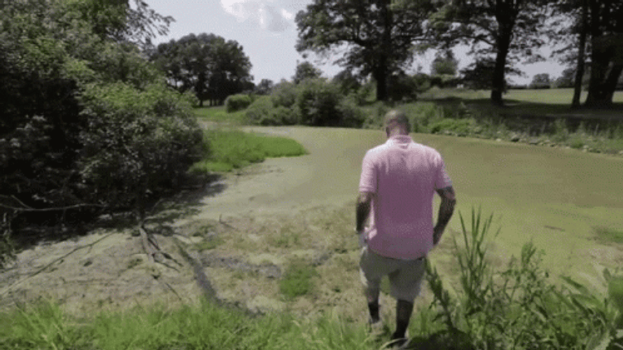 Slipped In The Swamp GIF
