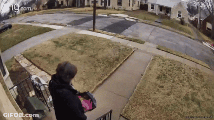 Slipping On Ice GIF
