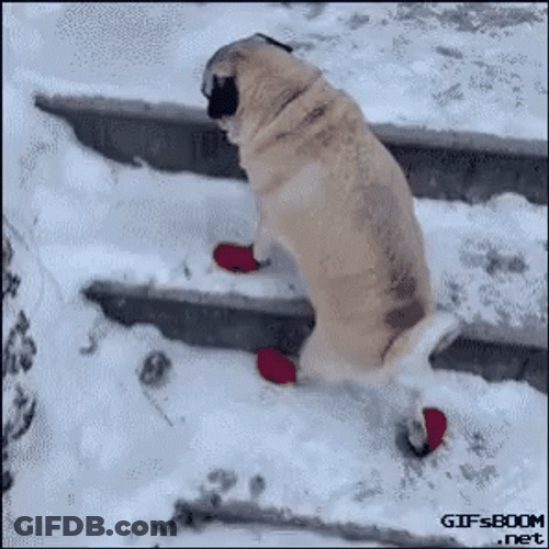 Slipping On Ice GIF