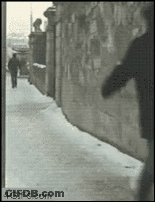 Slipping On Ice GIF