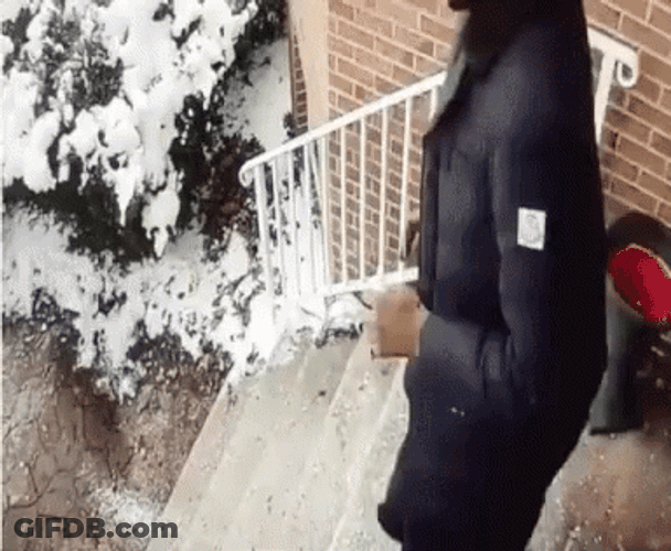 Slipping On Ice At Doorstep GIF