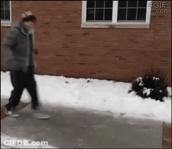 Slipping On Ice GIF