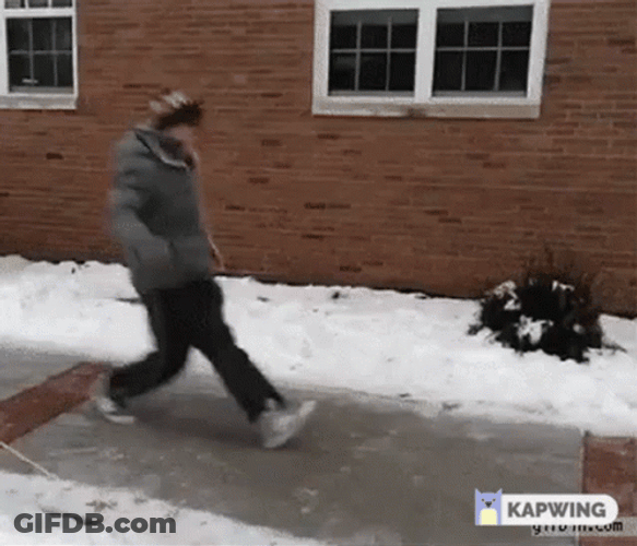 Slipping On Ice GIF