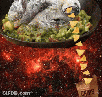 Sloth Eating Guacamole With Chips GIF