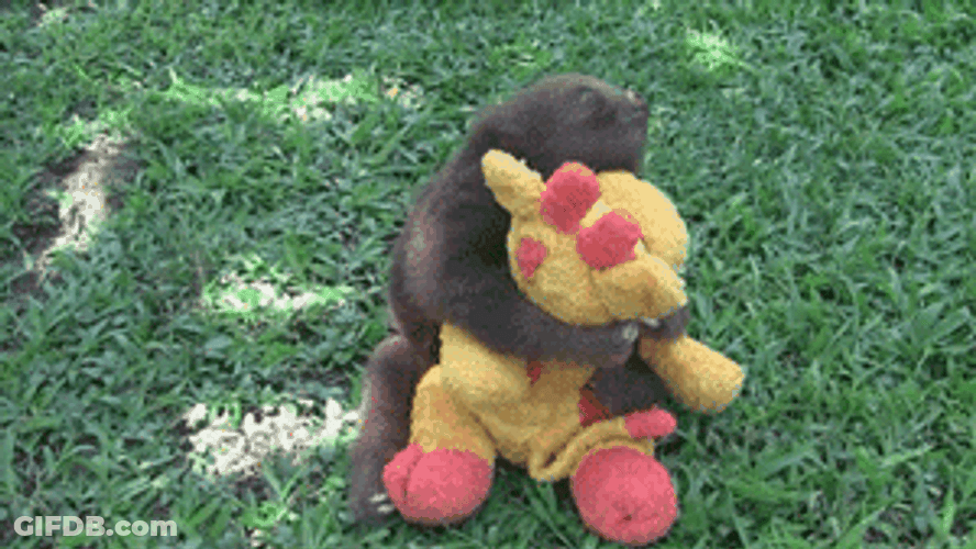 Sloth Falling Asleep GIF