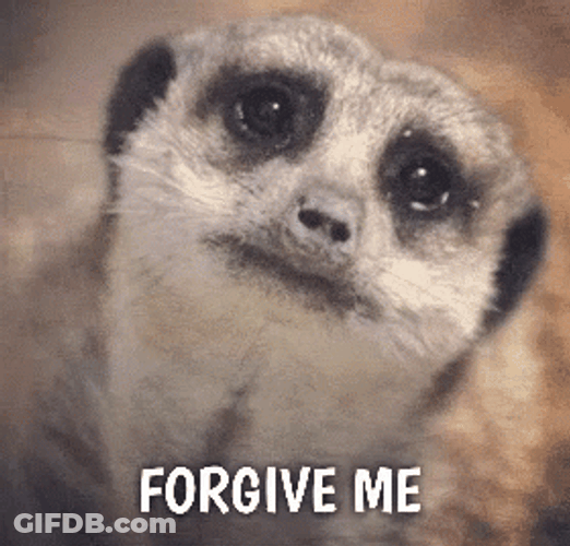 Sloth Forgive Me GIF