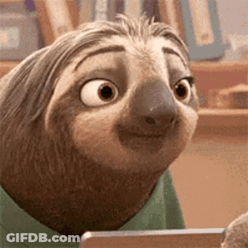 Sloth Happy GIF