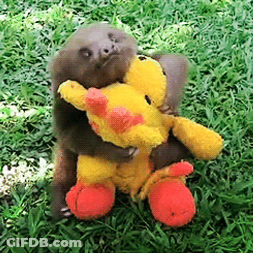 Sloth Hugging Toy GIF