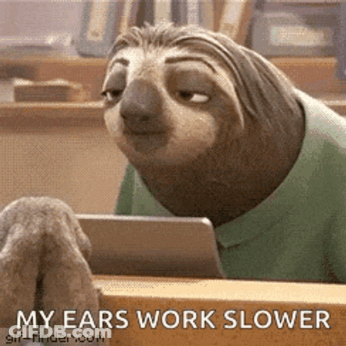 Sloth Laughing GIF