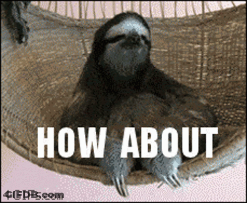 Sloth Laying In Hammock Saying How About GIF