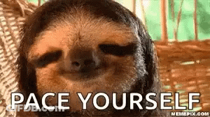 Sloth Laying In Hammock Saying Pace Yourself GIF